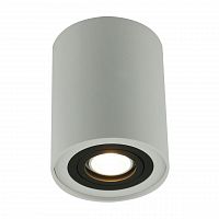 потолочный светильник arte lamp a5644pl-1wh в Кирове