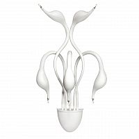 бра lightstar cigno collo wt 751656 в Кирове