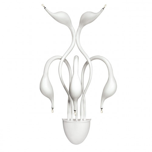 бра lightstar cigno collo wt 751656 в Кирове