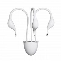 бра lightstar cigno collo wt 751636 в Кирове