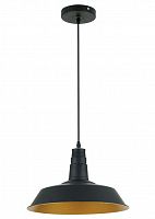 подвесной светильник odeon light kasl 3378/1 в Кирове