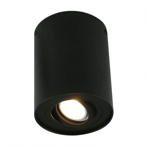 потолочный светильник arte lamp a5644pl-1bk в Кирове