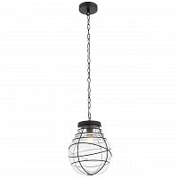 подвесной светильник st luce cocoon sl321.403.01 в Кирове