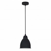 подвесной светильник arte lamp braccio a2054sp-1bk в Кирове