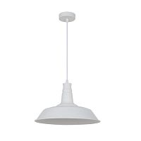 подвесной светильник odeon light kasl 3379/1 в Кирове