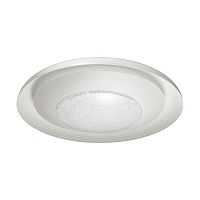 потолочный светодиодный светильник odeon light benso 4623/48cl в Кирове