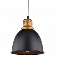 подвесной светильник arte lamp eurica a4245sp-1bk в Кирове