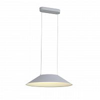 подвесной светодиодный светильник st luce pitto sl427.513.01 в Кирове