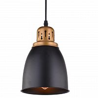 подвесной светильник arte lamp eurica a4248sp-1bk в Кирове