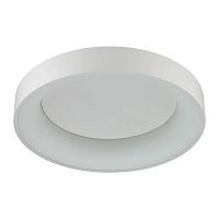 потолочный светодиодный светильник odeon light sole 4062/50cl в Кирове